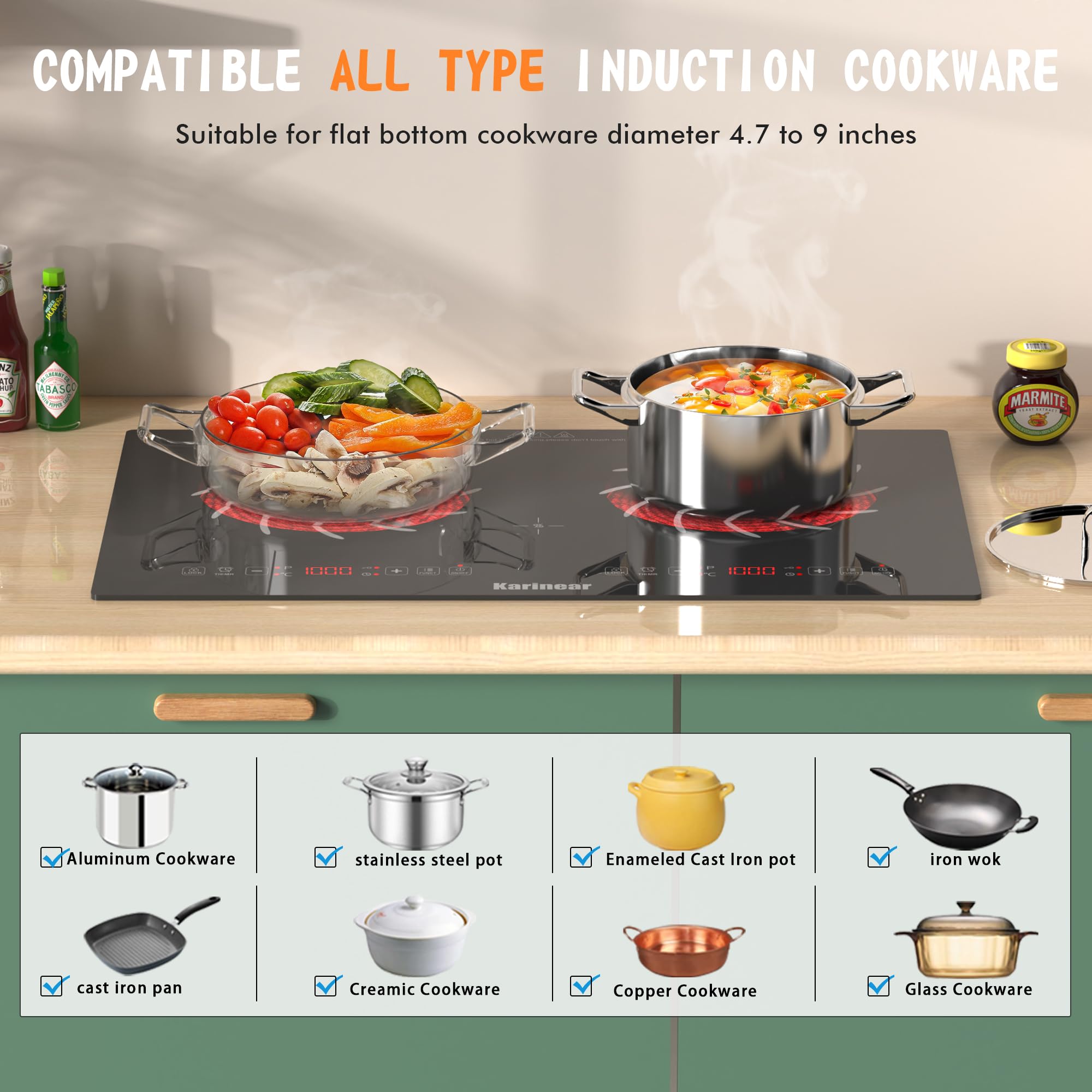 Karinear 2 Burner Electric Sto - Hot Pot Portable Dual 评论和价格