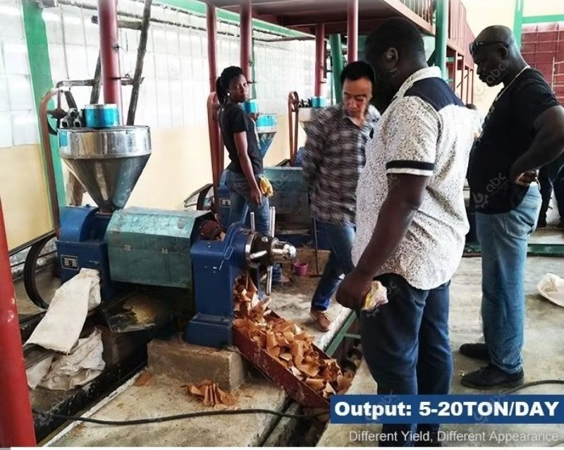 Quality Assurance Cooking Sunf - Home Cooking Oil Making Machine 评论和价格