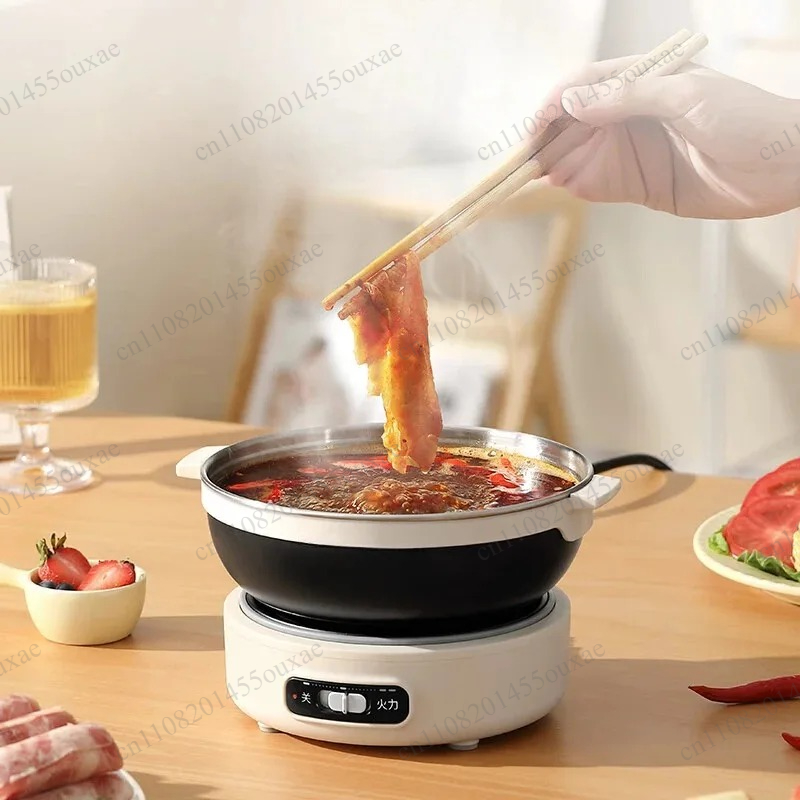 220V Portable Split Multi Cook - Hot Pot Portable Dual 评论和价格