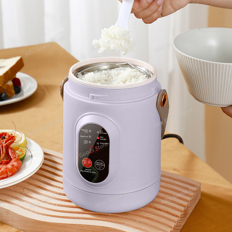Portable Multifunctional Mini  - Hot Pot Portable Dual 评论和价格