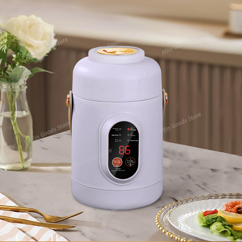 Portable Multifunctional Mini  - Hot Pot Portable Dual 评论和价格